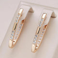 Chic Zirconia Stone Earrings